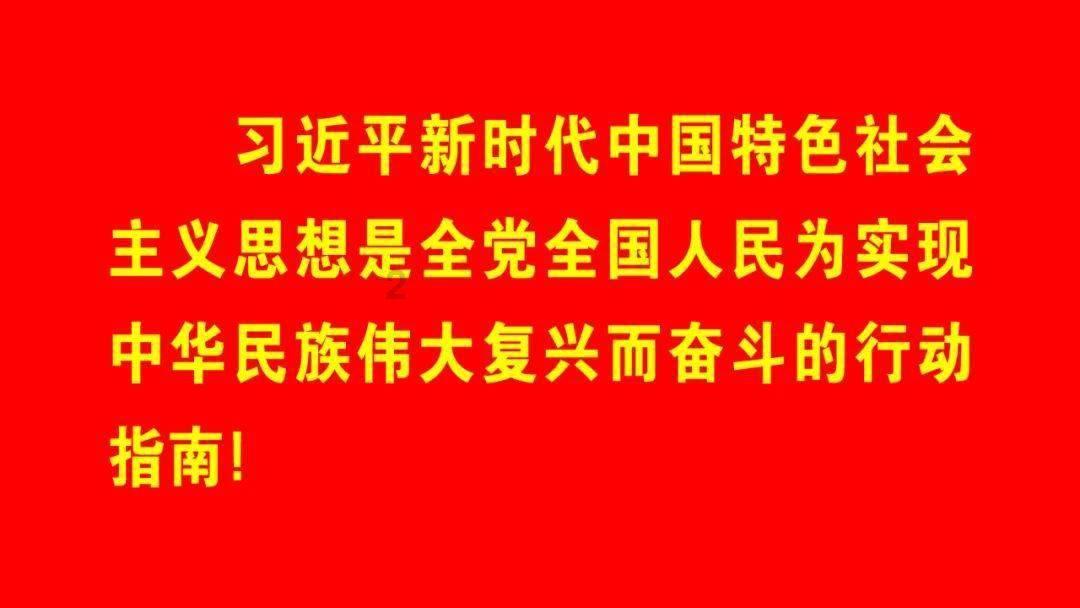 美丽的铅笔裙
